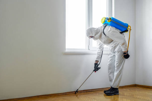 Best Residential Pest Control  in Angwin, CA